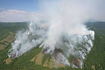 В Тыве с виновника лесного пожара взыскали 22,4 миллиона рублей