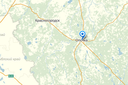 Жителя Псковской области задержали за сожжение «ведьмы»