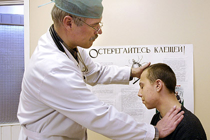 В России более 2,6 тысячи человек пострадали от укусов клещей