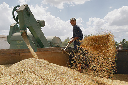 Минсельхоз предсказал рекордный объем экспорта зерна