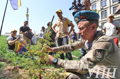 На Майдане посадили дерево в честь победы демократии