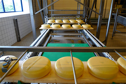 Нидерландская FrieslandCampina прекратила выпуск сыра для России