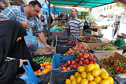 Россия предложит Турции увеличить поставки овощей и фруктов