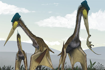 Российский палеонтолог изучил крупнейших летающих динозавров