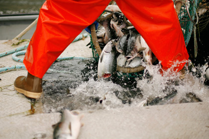 Рыбаки Аляски призвали бойкотировать российские морепродукты