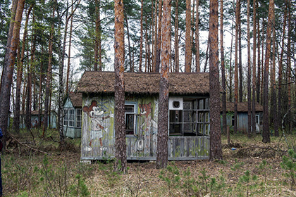 Зону отчуждения Чернобыля переделают под заповедник