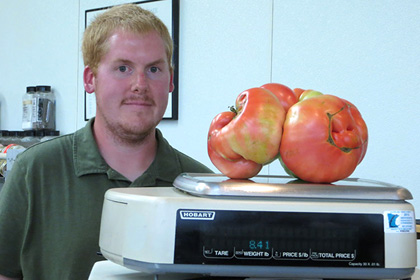 В Миннесоте вырастили самый большой в мире помидор
