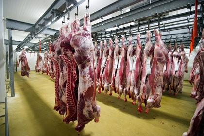 Свинина из Канады и США останется под запретом после отмены Россией продуктового эмбарго