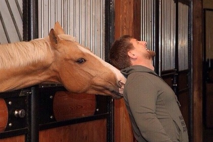 В Германии отменили ограничения по лошадям Кадырова