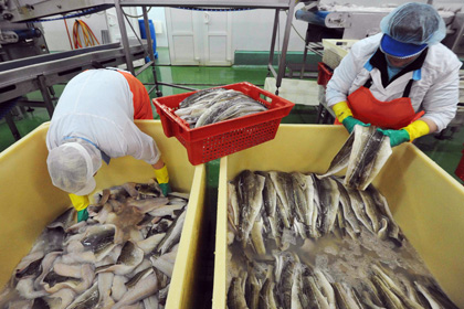 Верховный суд отклонил иск об отмене запрета на ввоз рыбы