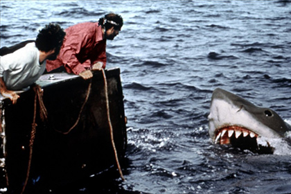 Политику Австралии относительно акул определил фильм «Челюсти»