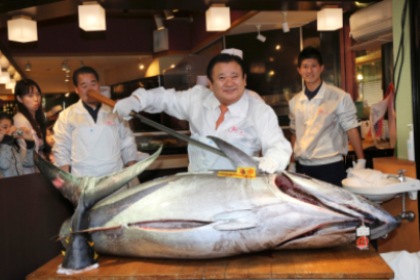 Голубого тунца продали за 37 тысяч долларов