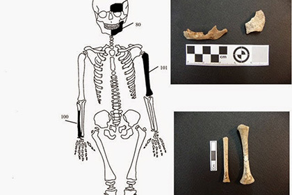 В гробнице времен Александра Македонского нашли кости кремированного младенца