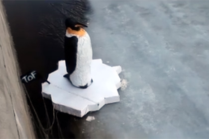 В канале Грибоедова появился пингвин на льдине