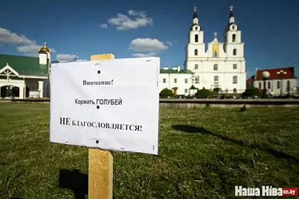 Церковь отказалась благословлять кормление голубей в Минске