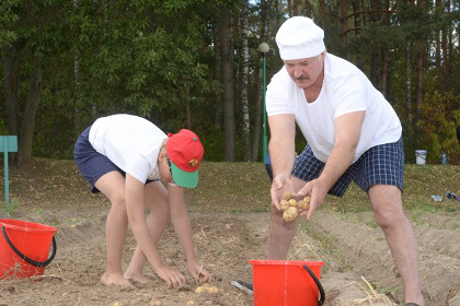 Лукашенко накопал 70 мешков картошки