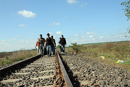 СБУ раскрыла канал переправки мигрантов из Закарпатья в Евросоюз