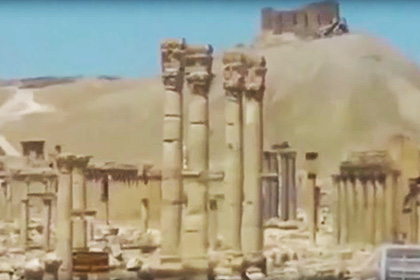 Опубликовано видео разрушений в сирийской Пальмире