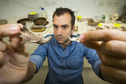 Антропологи нашли кости гигантских крыс