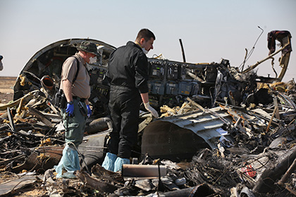 Украина подключится к расследованию авиакатастрофы Airbus A321