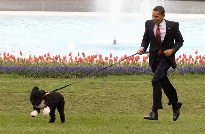 Обама определился со способом ношения штанов собаками