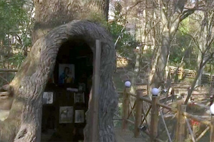 В грузинском Кутаиси молельню оборудовали в дупле дуба