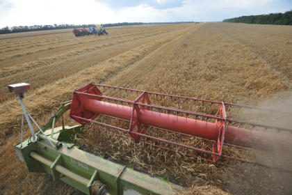 Минсельхоз США предрек России статус крупнейшего экспортера пшеницы