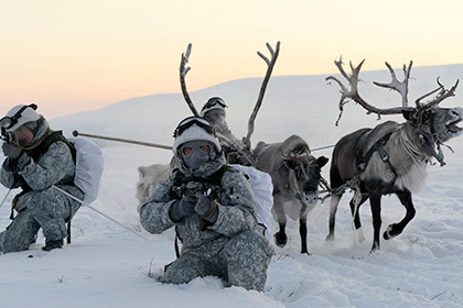 Разведчики арктической бригады потренировались в езде на оленях и собаках