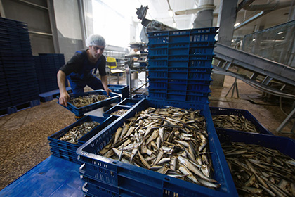 Росрыболовству предложили ввести экспортную пошлину на рыбу для снижения цен
