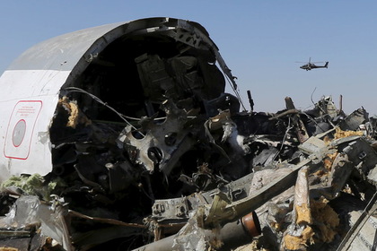 Турецких «Серых волков» заподозрили в причастности к авиакатастрофе на Синае