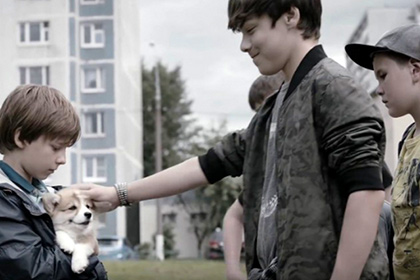 В ФАС признали рекламу Pedigree со щенком опасной для детей
