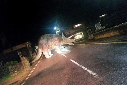 В Великобритании неизвестные перекрыли дорогу краденым трицератопсом