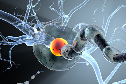 Нейробиологи научились лечить рассеянный склероз