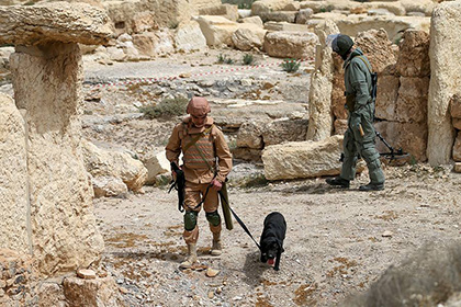 Военные доложили о полном разминировании исторического центра Пальмиры