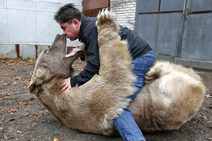 СМИ написали о приютившей бурого медведя российской семье