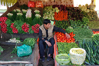 Афганистан решил заменить для России турецкие фрукты и овощи