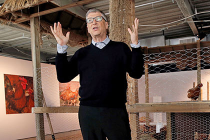 Билл Гейтс собрался пожертвовать 100 тысяч кур странам Африки