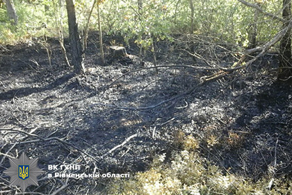 Двое украинцев попытались сжечь траву и привязанного к дереву подростка