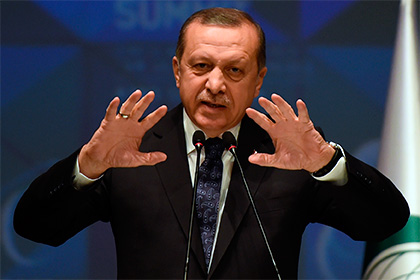 СМИ рассказали о развязавшей руки Эрдогану резолюции бундестага