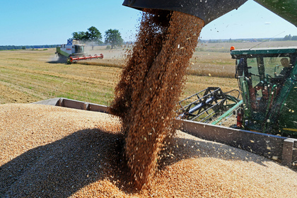 Украина исчерпала квоты на беспошлинные поставки пшеницы в ЕС