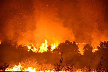 Лесные пожары будут расстреливать из гаубиц