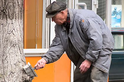 В России задумались о повышении пенсионного возраста на пять лет