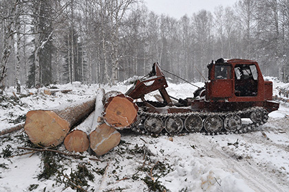 ЕС призвал Украину отменить мораторий на вывоз леса
