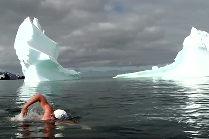Посол ООН проплыл километр в воде Антарктики
