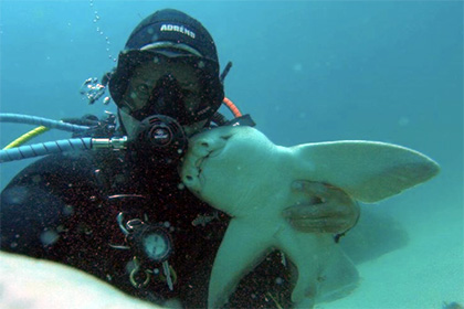 Австралийский дайвер подружился с акулой