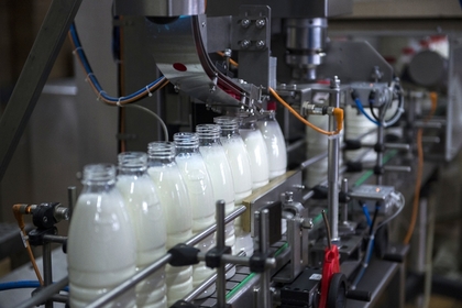 Чиновники придумали способ борьбы с фальсификацией молока