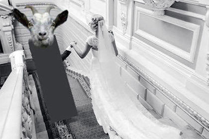 Соцсети насмешило объявление о продаже свадебного платья с козлом вместо жениха