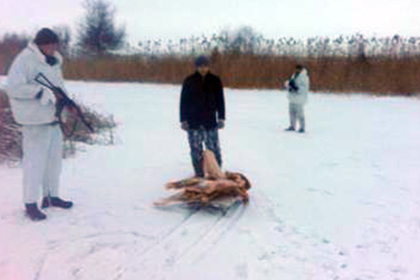 Украинец пытался вывезти в Россию мясную тушу на санях