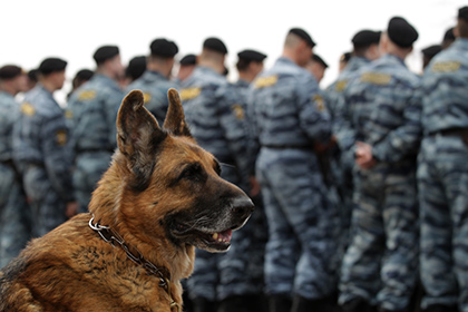 Якутская полиция забраковала корейских собак