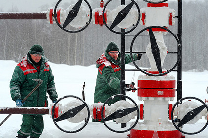 Белорусский экспорт в ЕС рухнул на треть из-за нехватки российской нефти